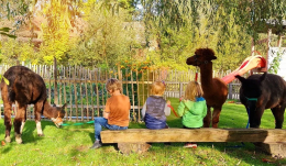 Spielgruppe